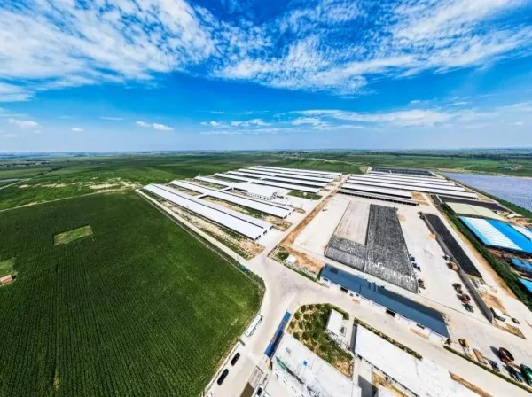 Fabrika e përpunimit të ushqimit me strukturë çeliku Fabrika e përpunimit të ushqimit me strukturë çeliku