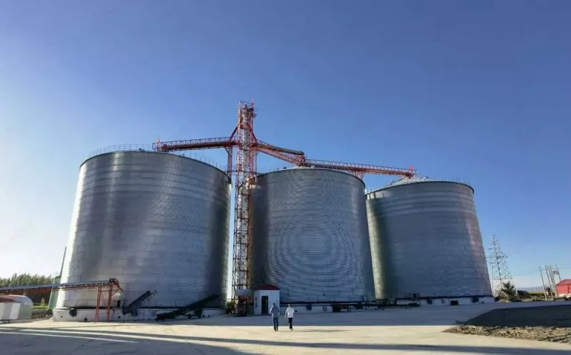 Strukturë çeliku Grain Silo Strukturë çeliku Grain Silo